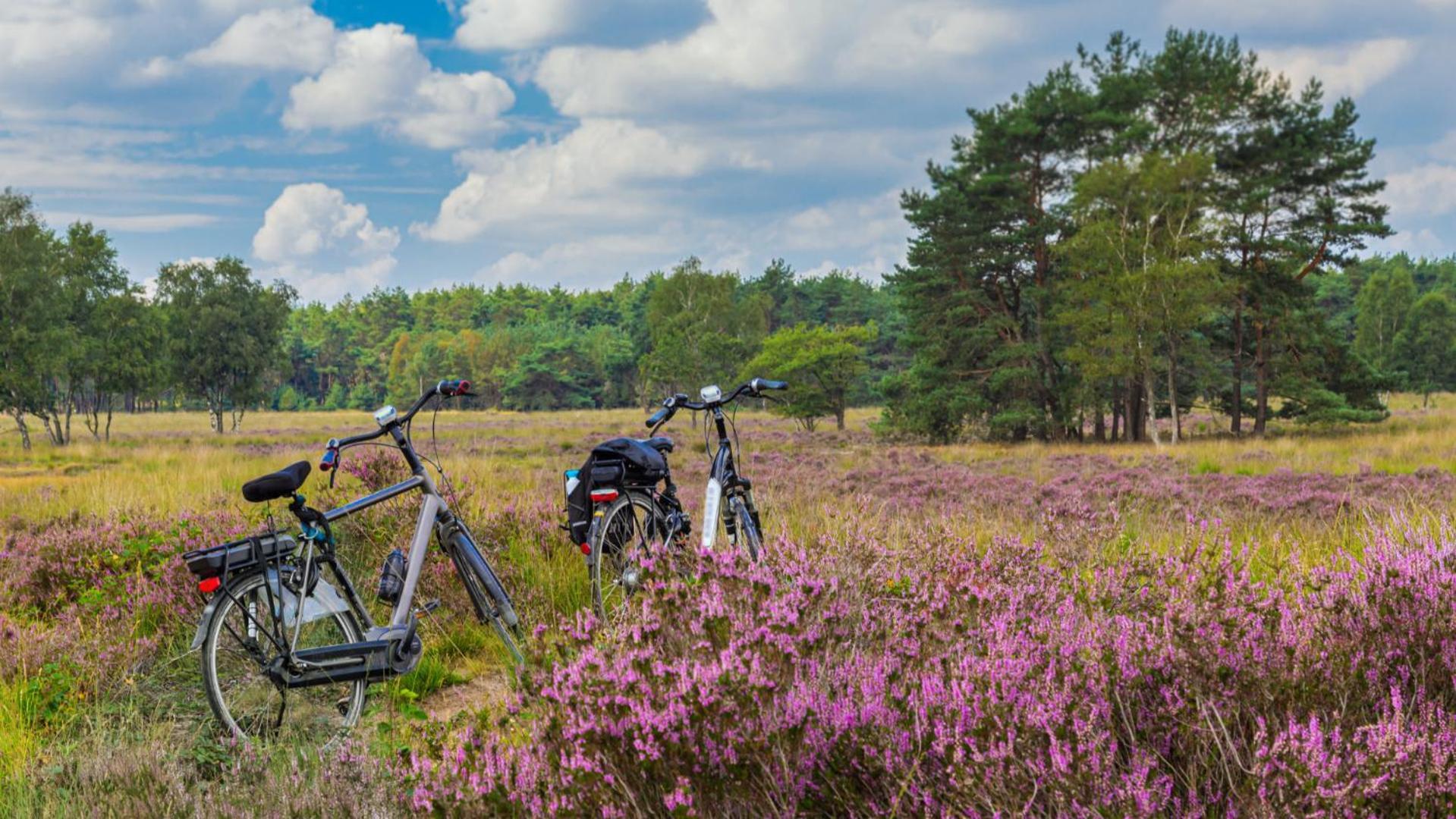 B&B Catharinenburg Golf & Wellness Melissant Bagian luar foto