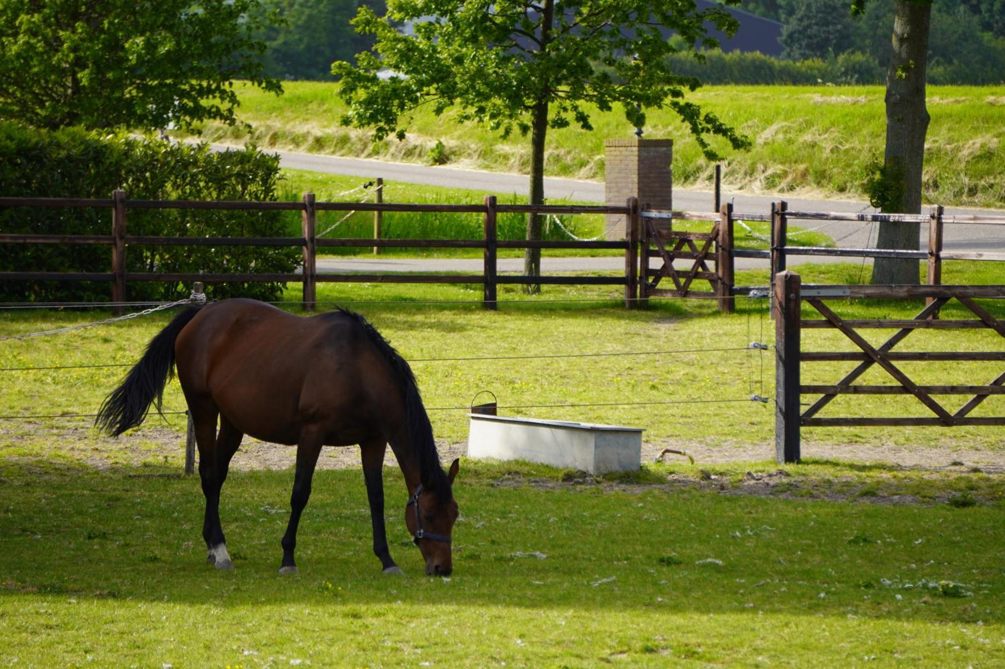 B&B Catharinenburg Golf & Wellness Melissant Bagian luar foto